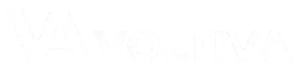 Voltiva group